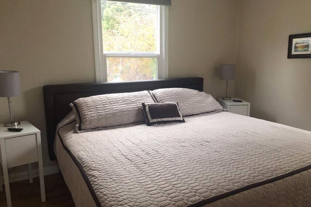 Cozy Crown Hill Carkeek Cottage W/3 Beds, Full Kitchen & Backyard In North Seattle Esterno foto